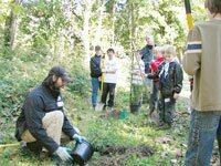 tree-city-ecology-20090300 At last year’s Arbor Day event in May Creek Park, Aaron Milner (kneeling) was on hand to help plant 300 trees in three hours with other members of the community. — City of Newcastle
