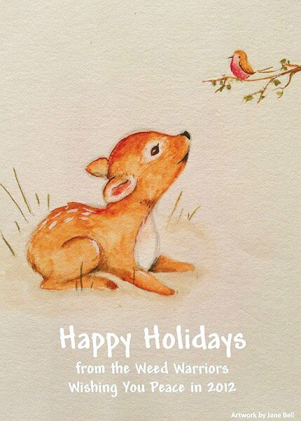 Wishing You Peace in 2012 by Jane Bell.jpg